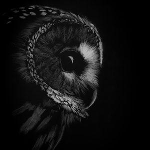 Dessin fond noir personnalisé sur mesure