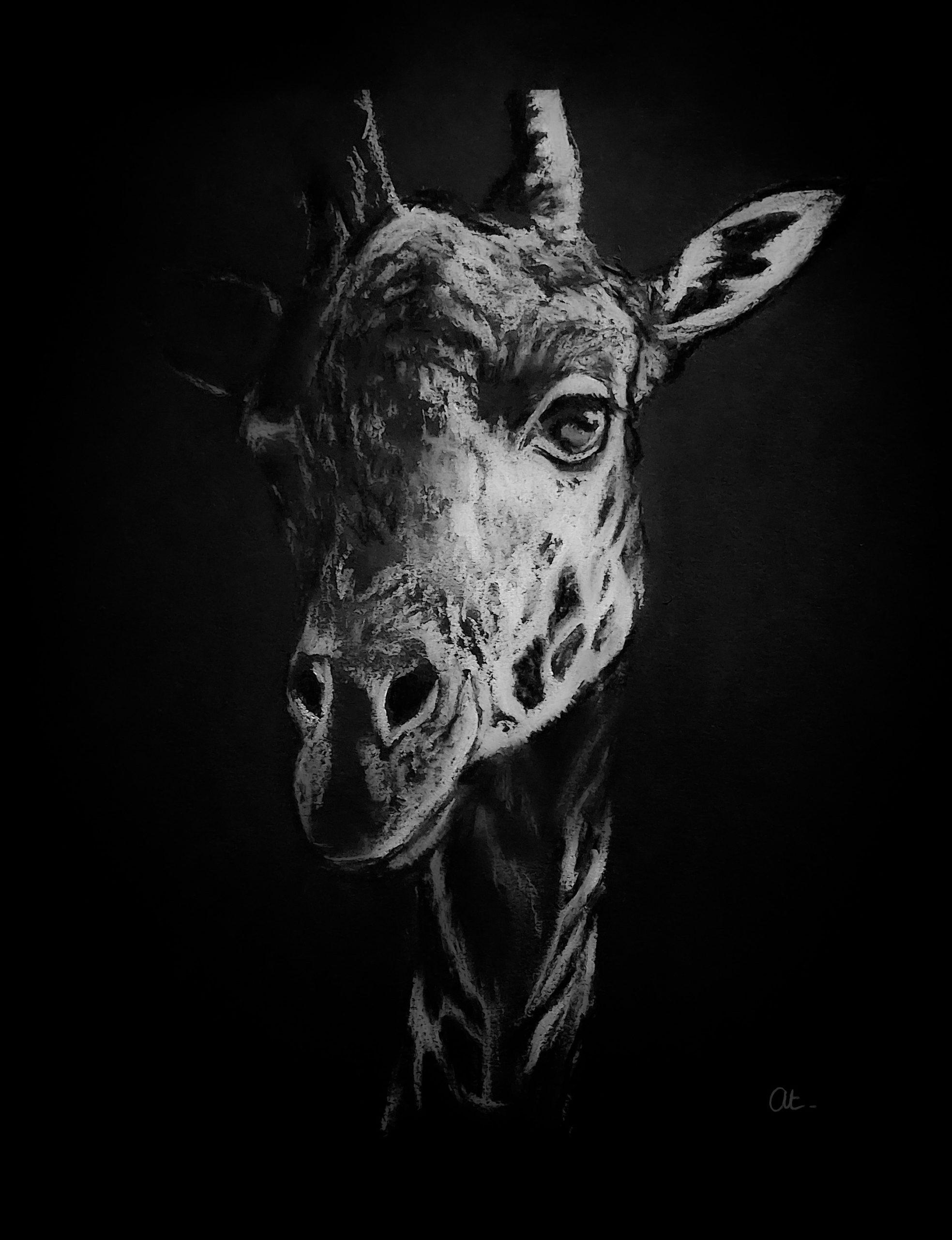 Dessin fond noir personnalisé sur mesure – Image 28