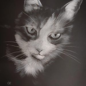 Dessin fond noir personnalisé sur mesure